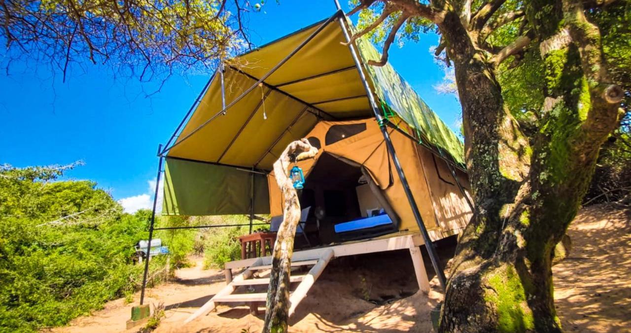 Back Of Beyond Dune Camp Yala Luaran gambar