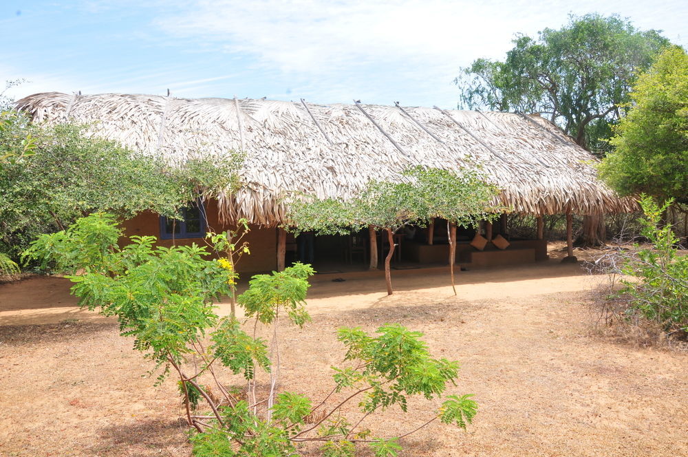 Back Of Beyond Dune Camp Yala Luaran gambar