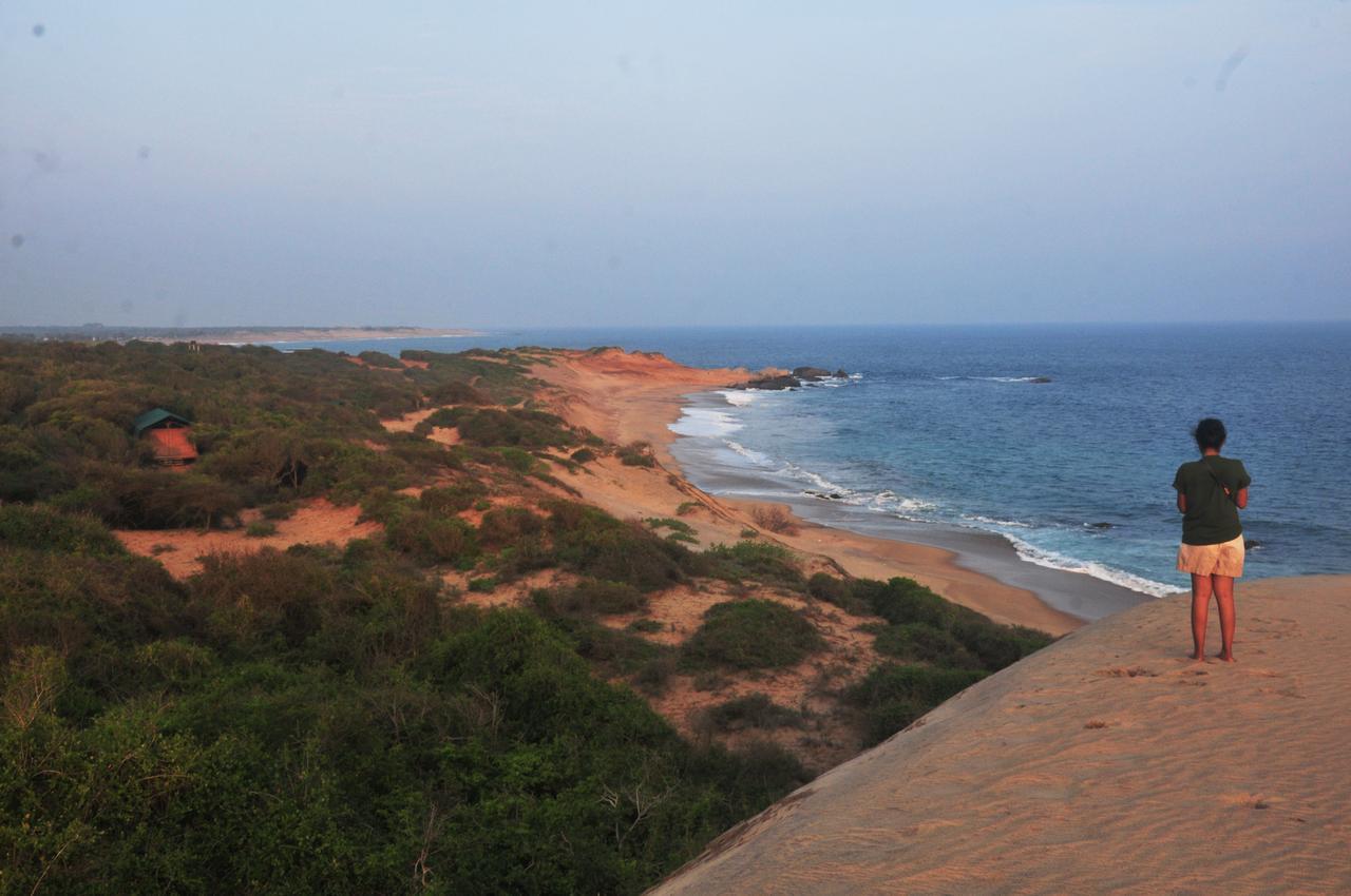 Back Of Beyond Dune Camp Yala Luaran gambar