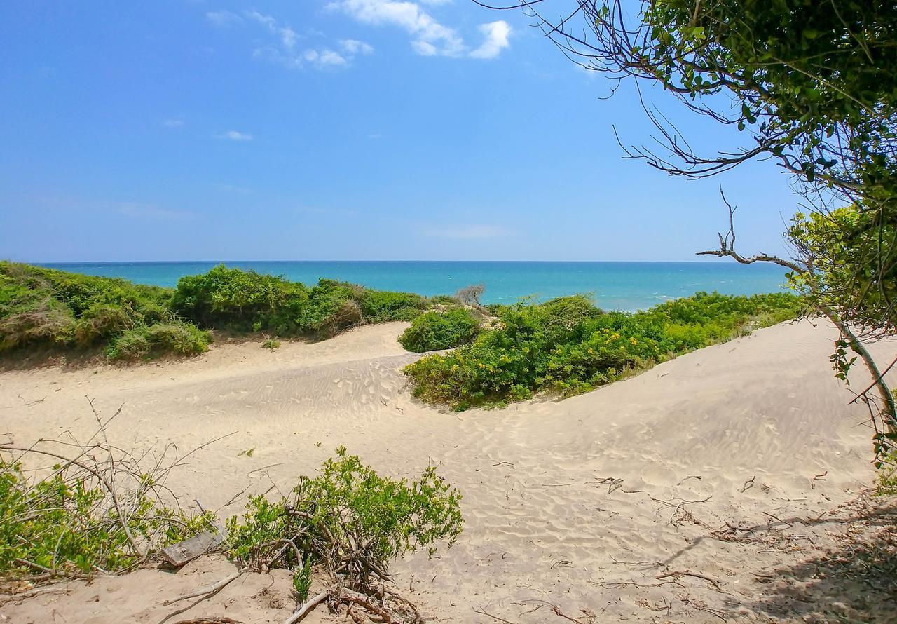 Back Of Beyond Dune Camp Yala Luaran gambar