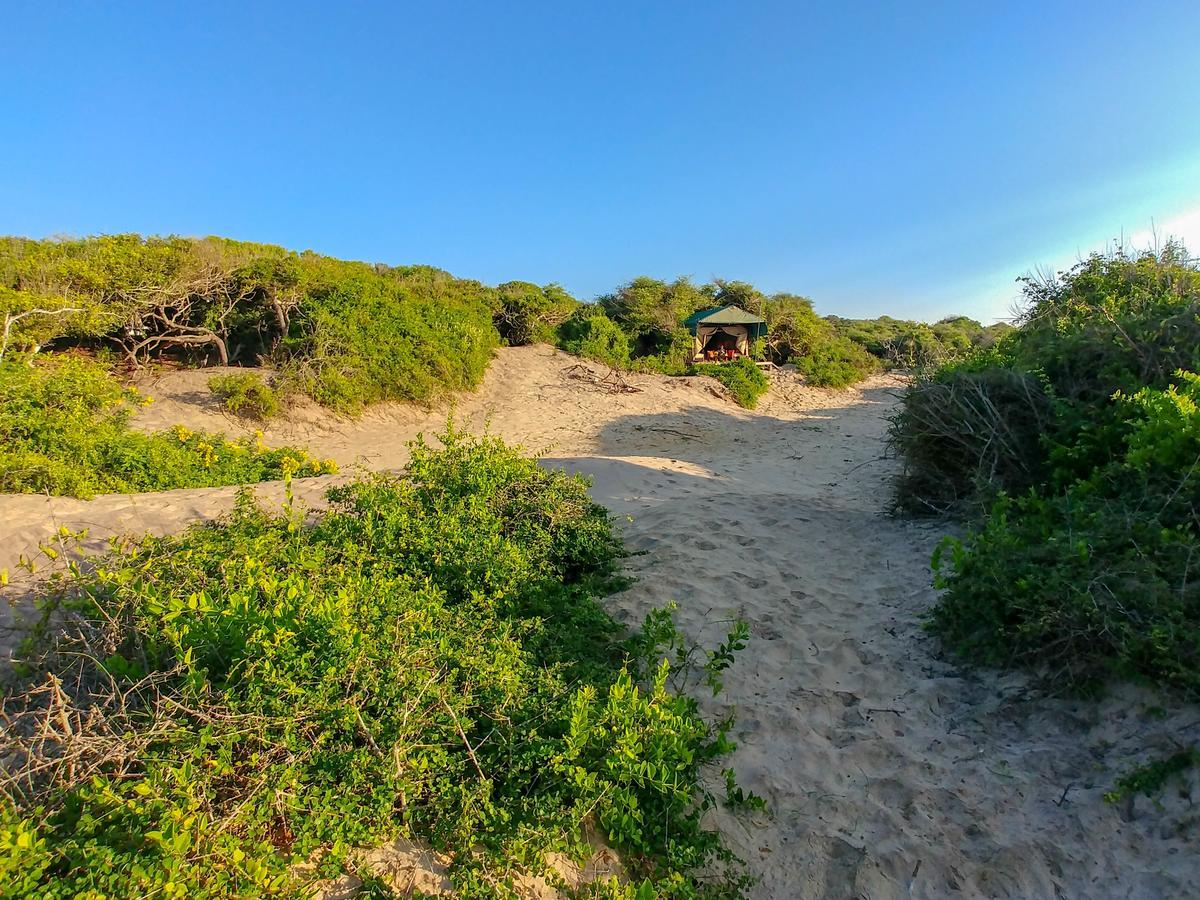 Back Of Beyond Dune Camp Yala Luaran gambar