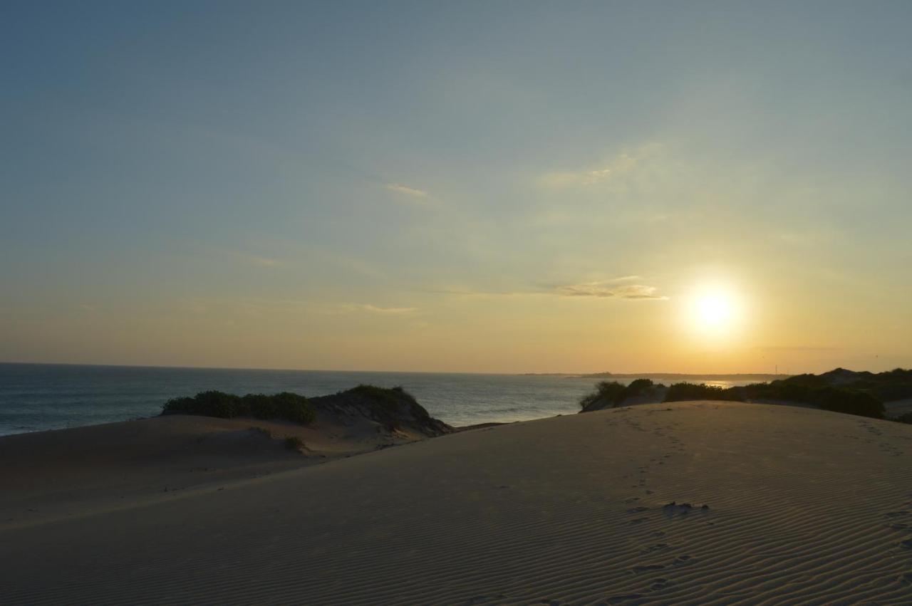 Back Of Beyond Dune Camp Yala Luaran gambar