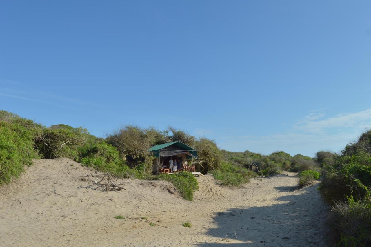 Back Of Beyond Dune Camp Yala Luaran gambar